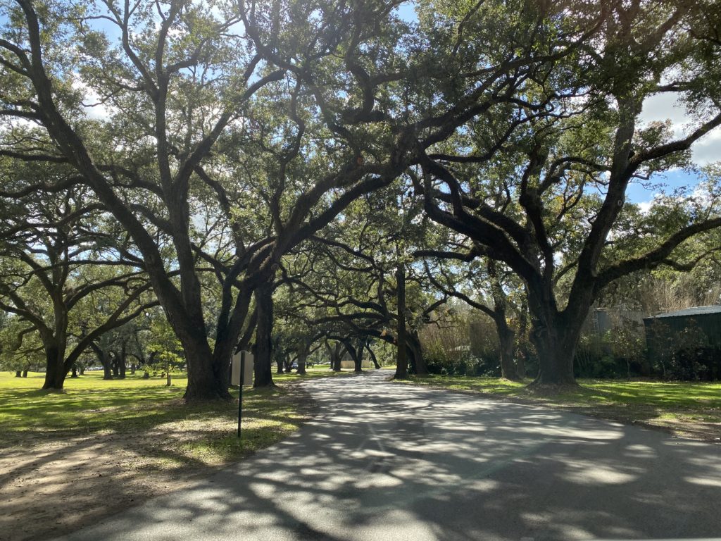  (Photo by Priscilla Dickson)