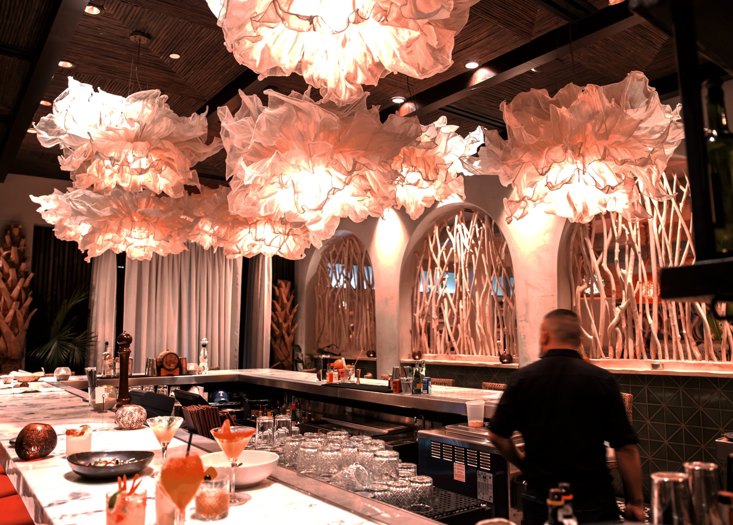 INFUSED with Tulum Chef Collaboration Series PaperCity Magazine