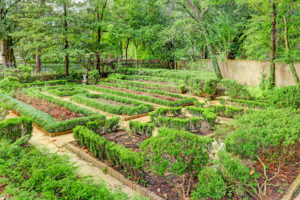 Willowick 3781 IMG 59_1_1 (Photo by TK Images)