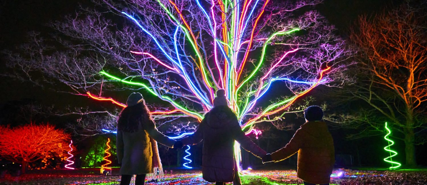 Culture Creative’s “Neon Tree” is among the delightful installations at Houston Botanic Garden’s Lightscape experience. (Photo by Richard Haughton, © Sony Music)