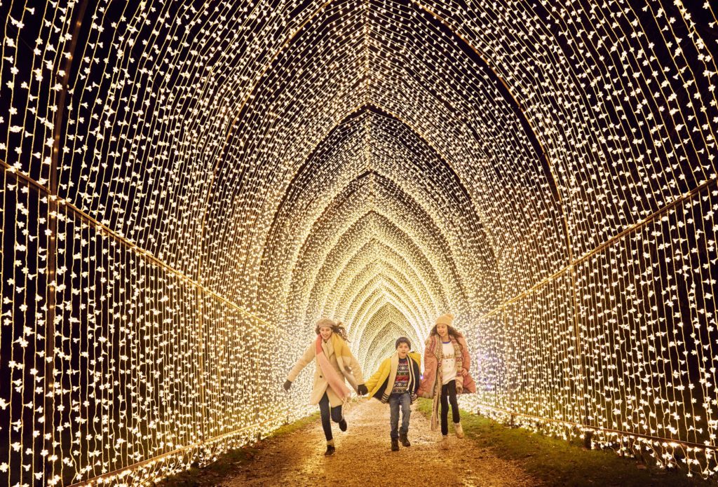 No Ordinary Holiday Show — Lightscape Transforms Houston Botanic Garden