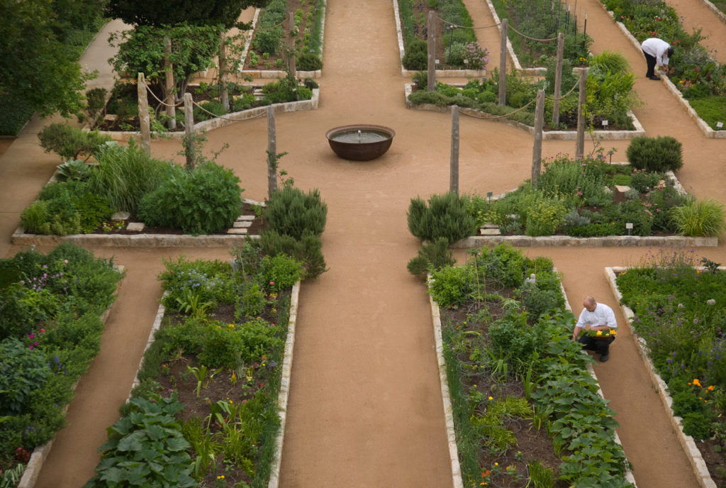 French born chef, Stéphane Beaucamp picks fresh herbs and vegetables at the gardens on site at The Lake Austin Spa Resort. (Photo by Photos by Lake Austin Spa Resort)