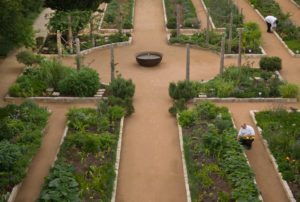 Chef in the Organic Gardens at Lake Austin Spa Resort (Photo by Photos by Lake Austin Spa Resort)