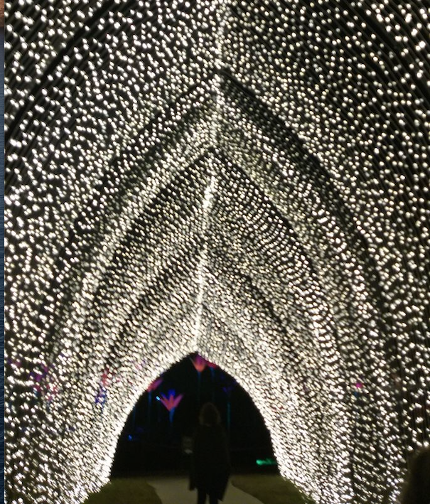 Lightscape challenges us to pause and connect with nature. (Photo by CDA) 