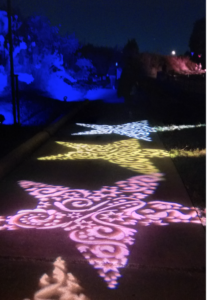 Starry, starry night … (Photo by CDA)