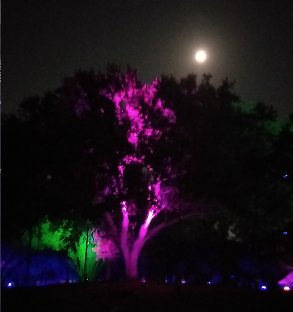 laser lightscape led light projector laser lightscape led light projector