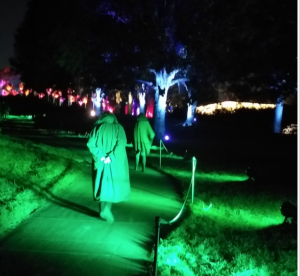 Strollers perambulate along a mile-long trail to take in Houston Botanic Garden’s Lightscape, a hypnotic addition to our city’s holiday attractions. (Photo by CDA)
