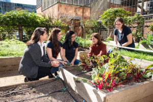 Laura S. Moore in the holistic garden that feeds UTHealth School of Public Health’s Nourish Program, the source of Moore’s book How Good Food Works From Seed to Table. (Photo by Alexander’s Fine Portrait Design)