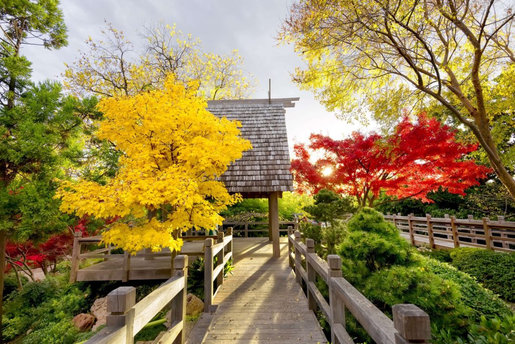 BRIT – Japanese Garden is a particular treasure inside the larger Fort Worth Botanical Gardens