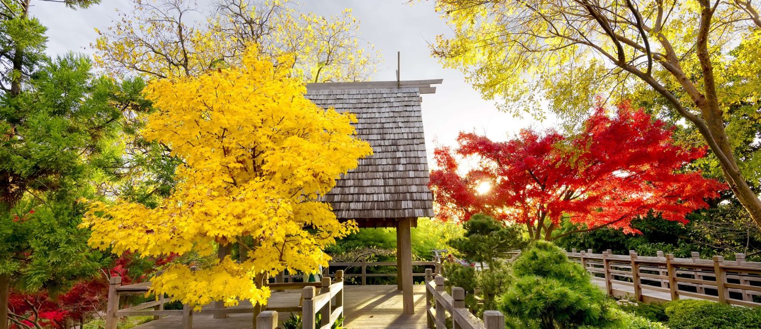 BRIT – Japanese Garden is a particular treasure inside the larger Fort Worth Botanical Gardens