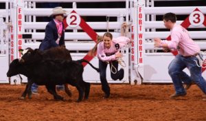 FWSSR – The Calf Scramble gives local FFA students the chance to raise their own live stock