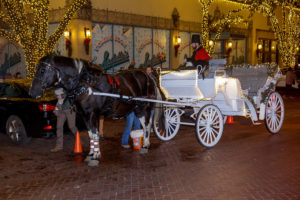 Many enjoyed the annual tradition of a horse drawn carriage ride to view the lights of Highland Park homes (Photo by WJN Photo)