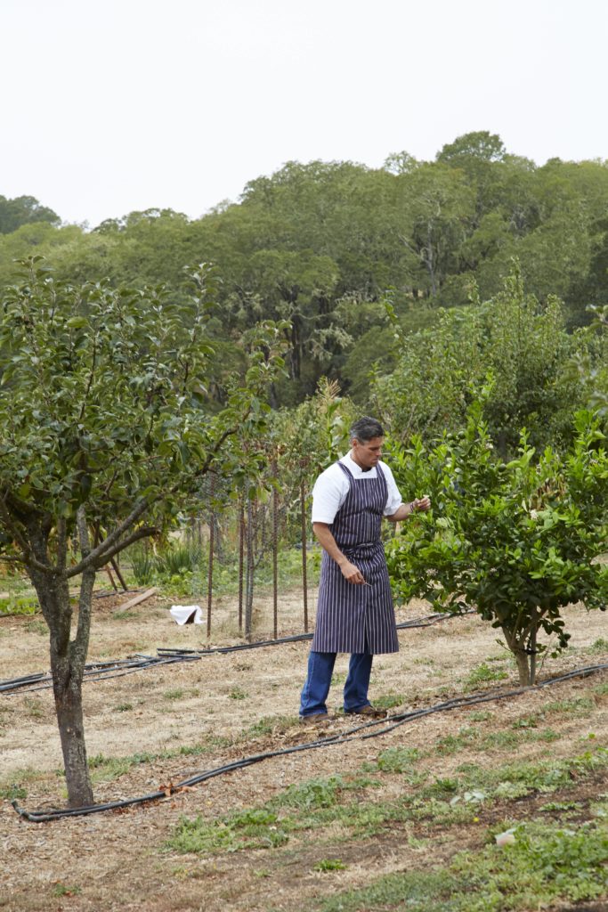 In Healdsburg, food and wine are revered.