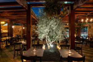 Trattoria Sofia Patio