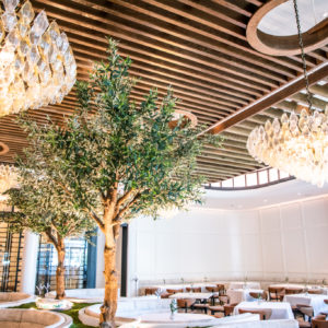 Lombardi Dallas Restaurant News