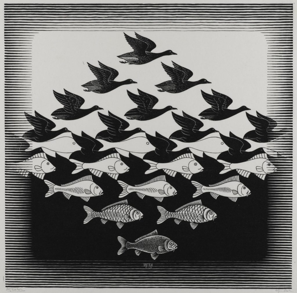 Sky and Water is one Escher's most celebrated works, weaving in the motif of metamorphosis. In this woodcut, birds and fish are seemingly transformed into air and water through metamorphosis.
