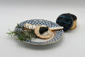 56bb704cb6cb0a0ab4246ad1fffa8b9979b8dab45168f56be4d5ddf3527f2684