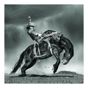 Steve Wrubel Larsen Photograph at Christopher Martin Gallery Houston