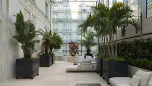 Dior – restful spaces, green sanctuaries, fill the gardens at 30 Montaigne (Photo by  © Kristen Pelou)