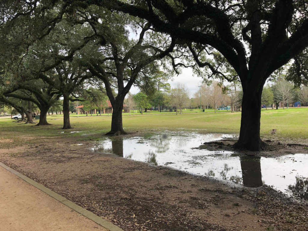 This seldom used stretch of Hermann Park will be transformed into the Live Oak Deck. (Rendering courtesy of Hermann Park Conservancy)