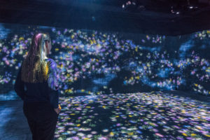 “Teamlab: Flowers and People Cannot be Controlled but Live Together – A Whole Year per Hour,” Spring 2017. (Photo by Nash Baker)