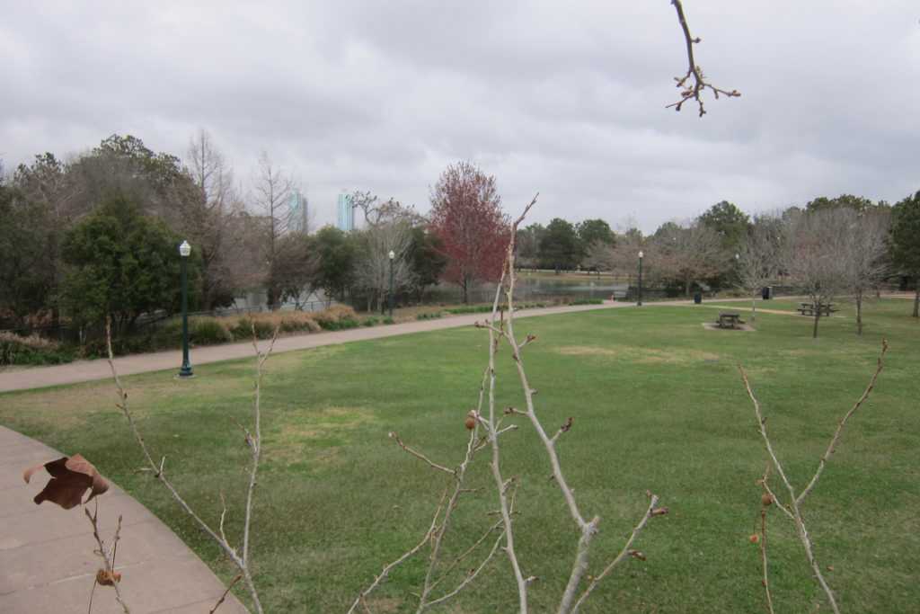 This open field will be the site of the Water Play Gardens in The Commons in Hermann Park. (Rendering courtesy of Hermann Park Conservancy)