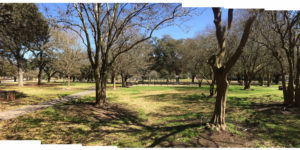 WelcomeGarden-Before