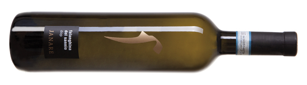 Falanghina, an ancient grape, is represented well in this bottle. (Courtesy Cantina Sociale la Guardiense)