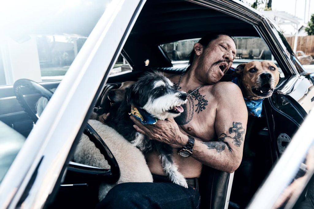 Asgharnia captures the true wild beauty of actor Danny Trejo and his love for dogs.
Photo Credit: Shayan Asgharnia
AugustImage.com