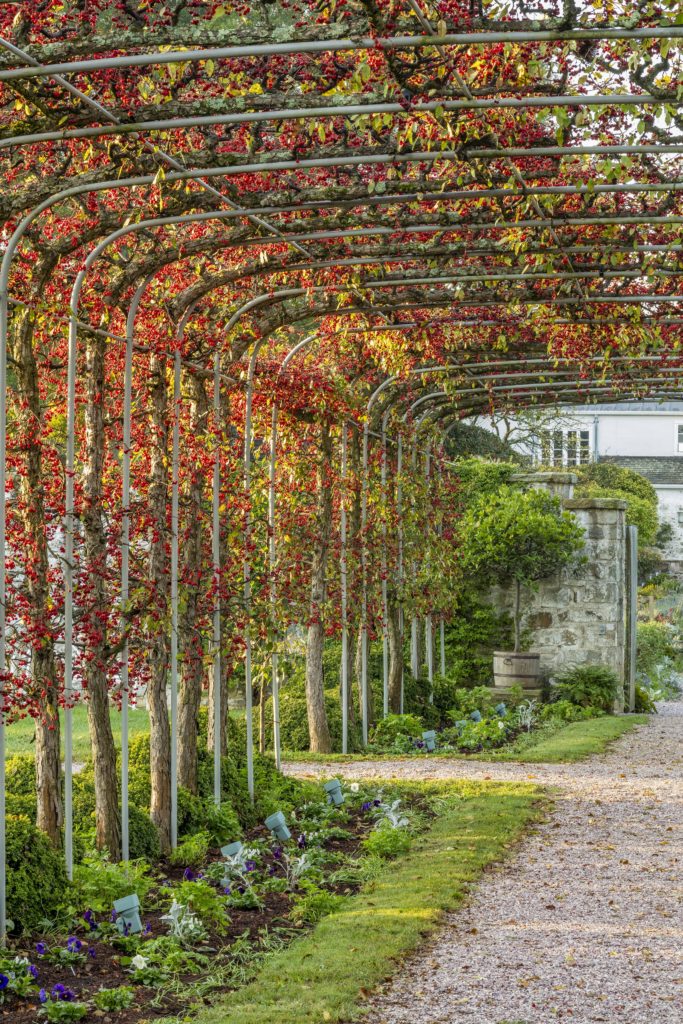 The arbor leading from the Formal Greenhouse to the gardens at Oak Spring.