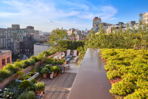 NYC_Greenwich_3901