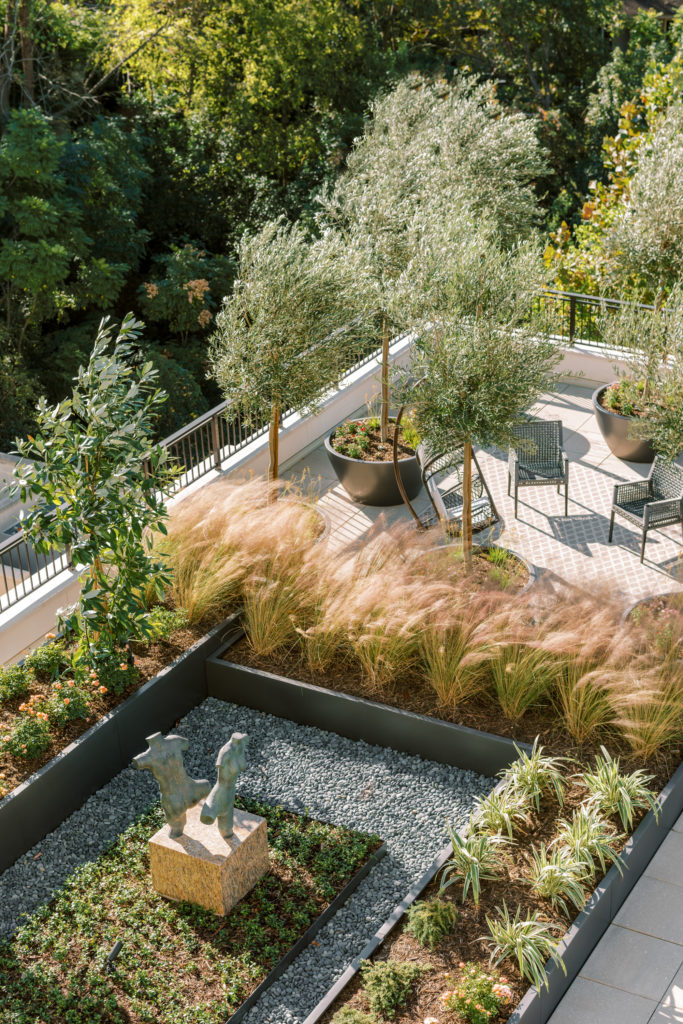 Residential Landscape Design, Mirador Group, for Private Roof Terrace at The Sophie at Bayou Bend. (Photos Divya Pande)