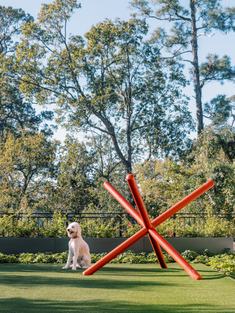 Residential Landscape Design, Mirador Group, for Private Roof Terrace at The Sophie at Bayou Bend. (Photos Divya Pande)