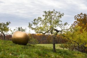 pennoyer_rowdymeadow_4789