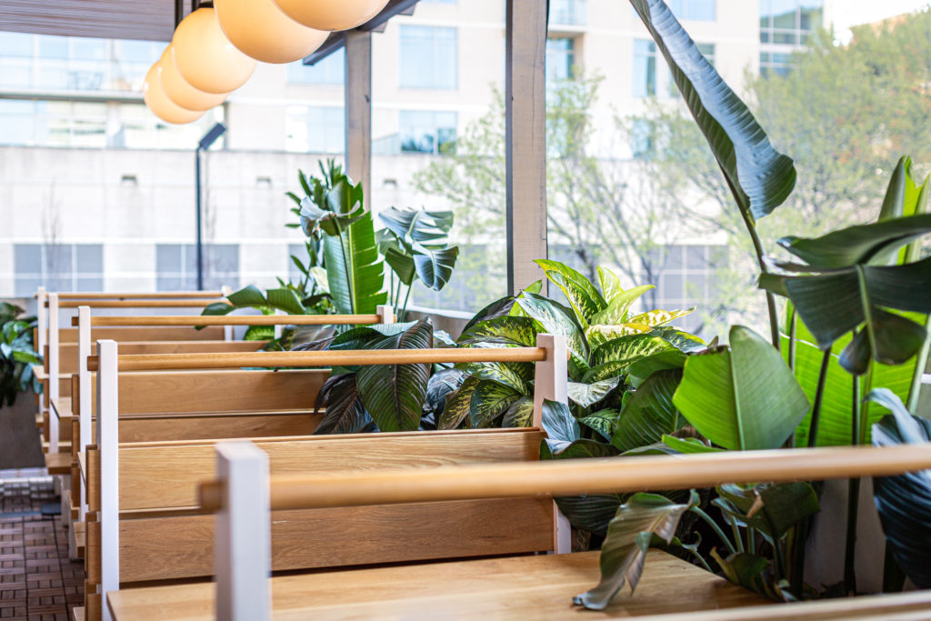 On a lovely day you can sit outside in the treehouse-like setting of Lees Den in Rice Village. (Photo by Jenn Duncan)