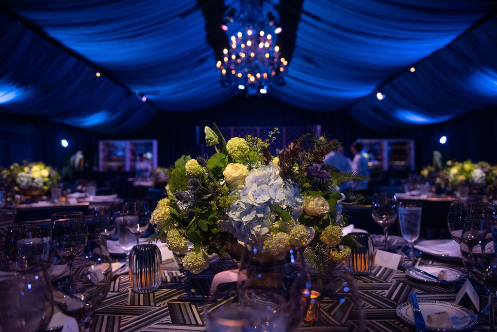 Inside the tent with Cartier and the Dallas Museum of Art (Photo by Tamytha Cameron Smith and Simon Luna of the Mamones LLC) 