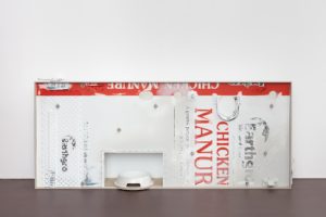 Nasher Art Exhibits