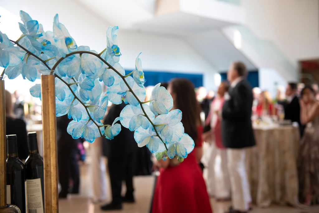 A night with Cartier at the Dallas Museum of Art. (Photo by Tamytha Cameron Smith and Simon Luna of the Mamones LLC) 