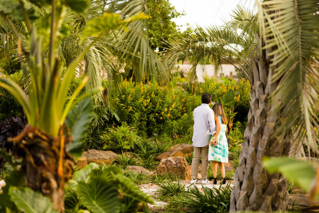 A romantic moment in Houston Botanic Garden  (Hung L. Truong Photography)