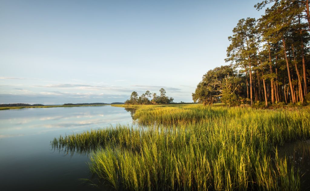Palmetto Bluff is a lowcountry southern retreat set in a 20,000 acre nature preserve.