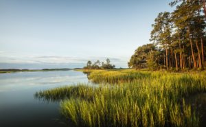 Palmetto Bluff