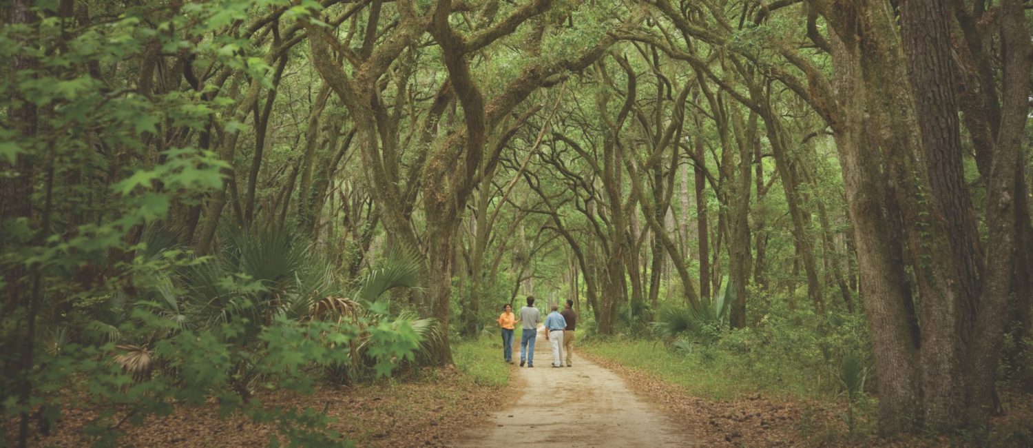 River Road Preserve Palmetto Bluff
