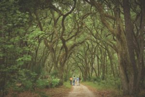 River Road Preserve Palmetto Bluff