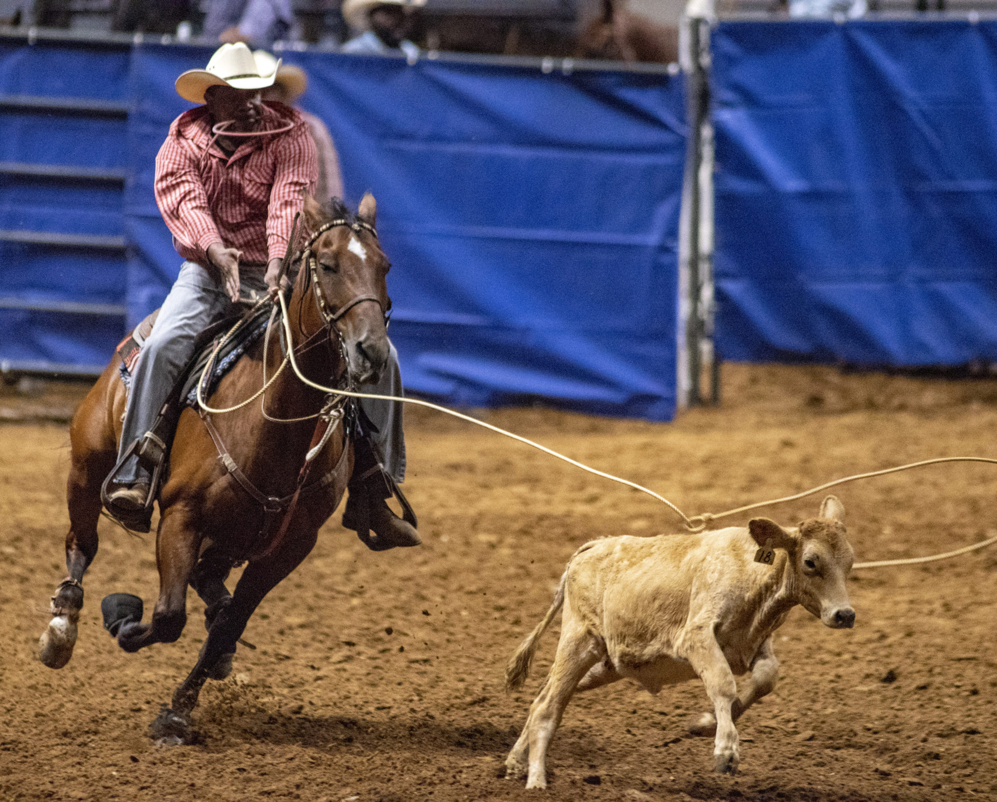 Best Things to Do in Dallas This Juneteenth and Father's Day Weekend