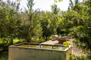 067 D81_6200 (Photo by Stephen Karlisch and Robert Tsai)