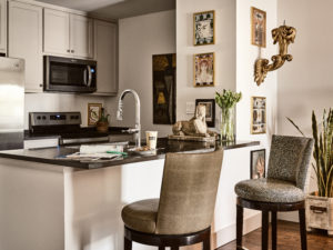 Shoot for Plug PR and Cafe Duro Hospitality (Photo by Stephen Karlisch)