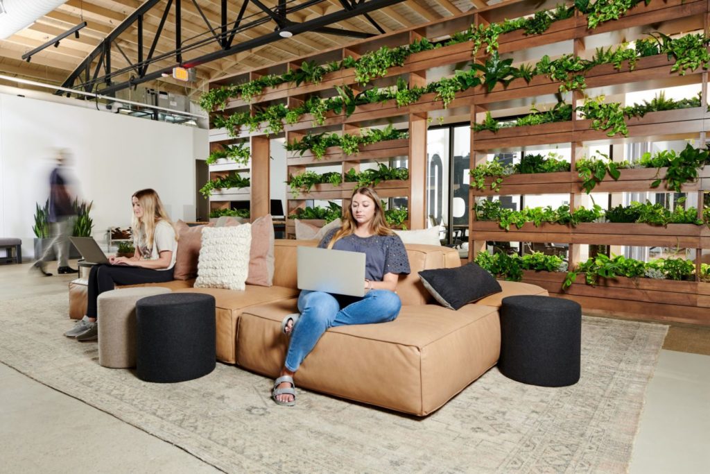 The Coeval Studio design wall of greenery inside Agency Habitat a part of Panther City District.