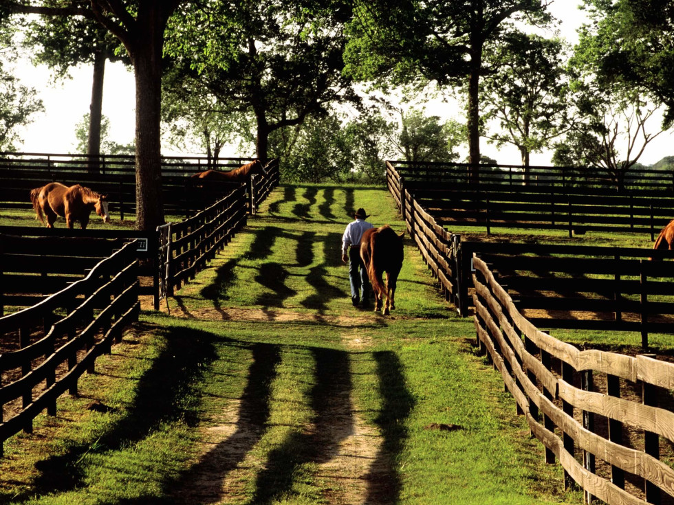 Horseback riding at the Inn at Dos Brisas  was one of many activities. (Photo by Julie Soefer)