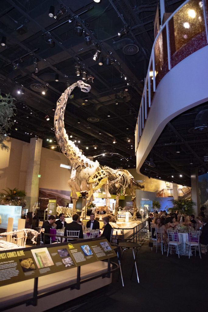 The Dinosaur Floor of the Perot Museum (photo by, Tamytha Cameron)