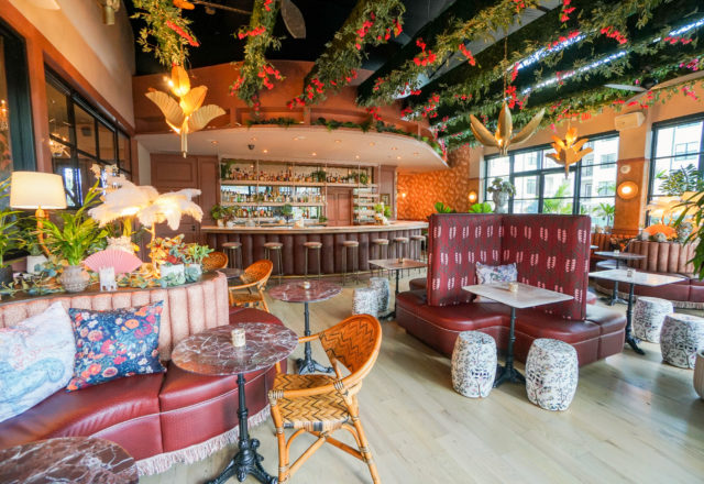 Bar Eden is a new cocktail bar in Bishop Arts, opening on August 6. (Photo by Elizabeth Bronson)